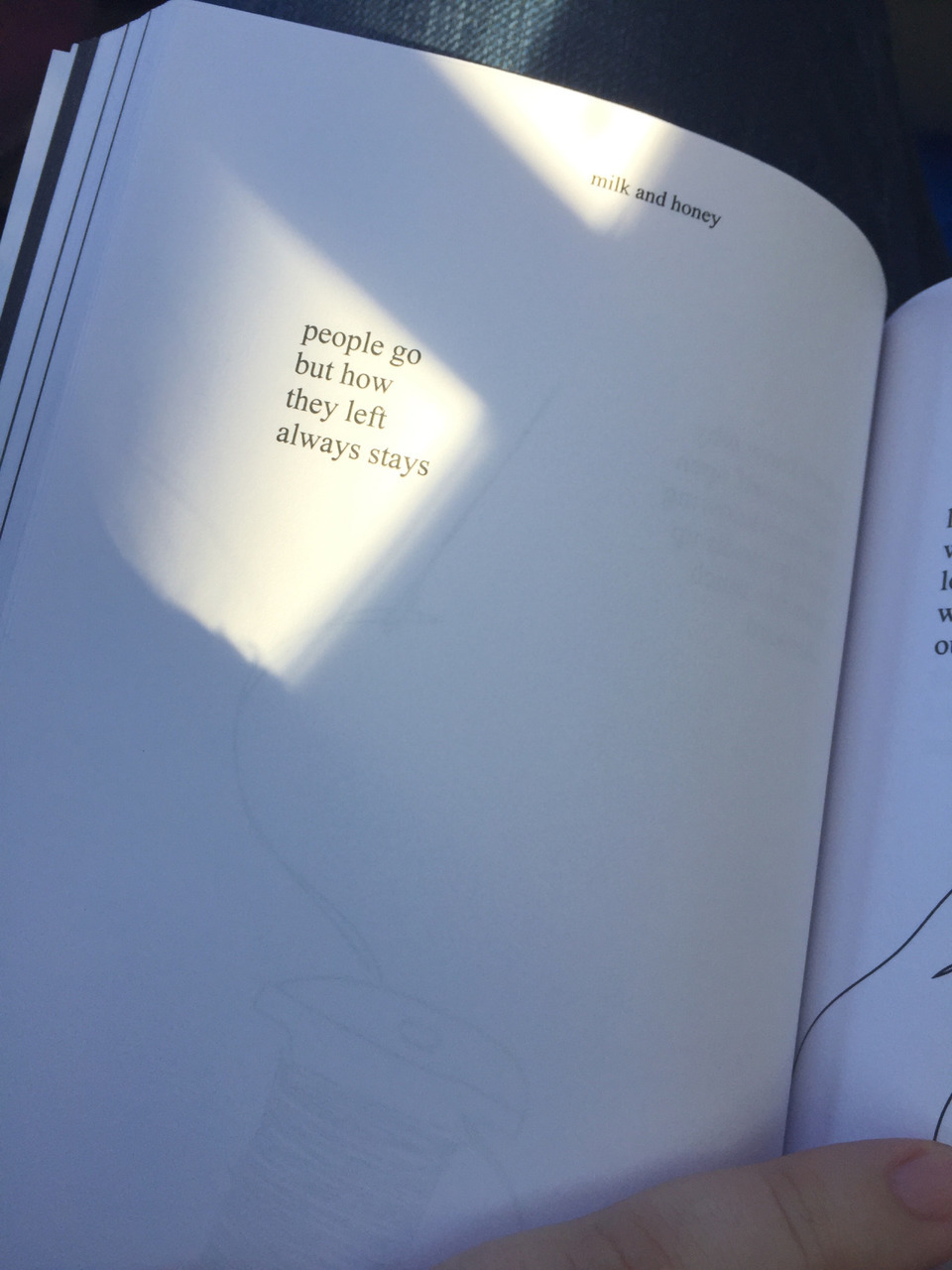 Detail Milk And Honey Quotes Tumblr Nomer 10