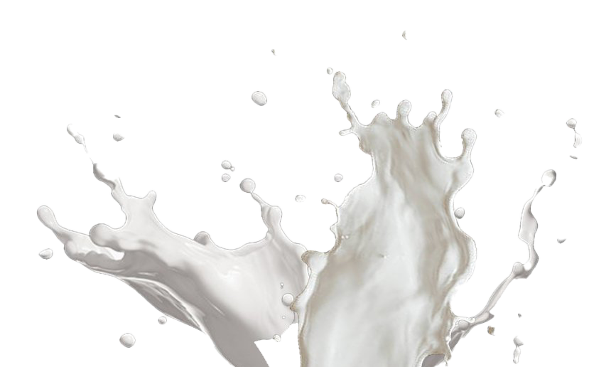 Download Milk Vector Png Nomer 11