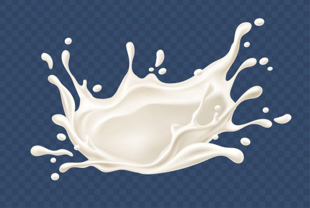 Detail Milk Vector Png Nomer 19