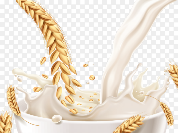 Detail Milk Vector Png Nomer 44