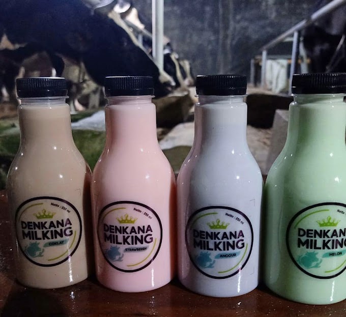 Detail Milkshake Puding Gambar Bergerak Milkshake Puding Nomer 23