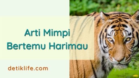 Detail Mimpi Bertemu Harimau Nomer 10