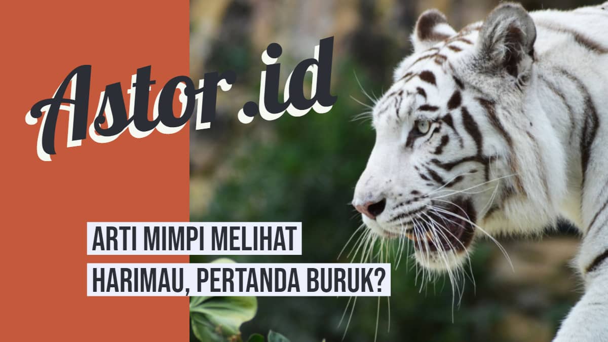 Detail Mimpi Bertemu Harimau Nomer 26