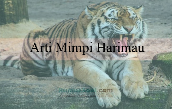 Detail Mimpi Bertemu Harimau Nomer 38