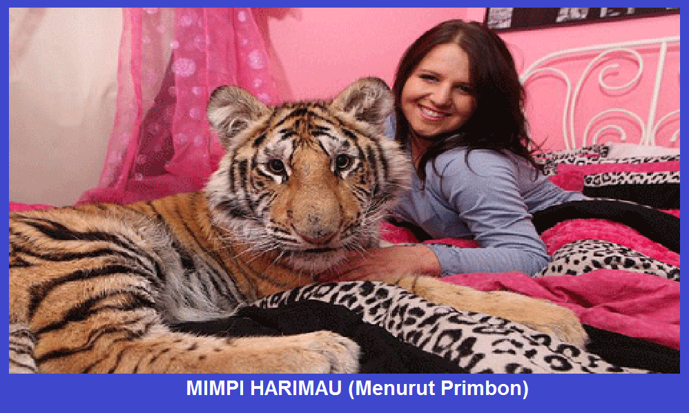 Detail Mimpi Bertemu Harimau Nomer 45