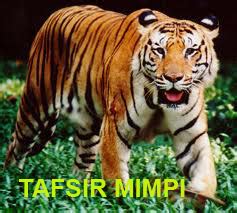 Detail Mimpi Bertemu Harimau Nomer 55