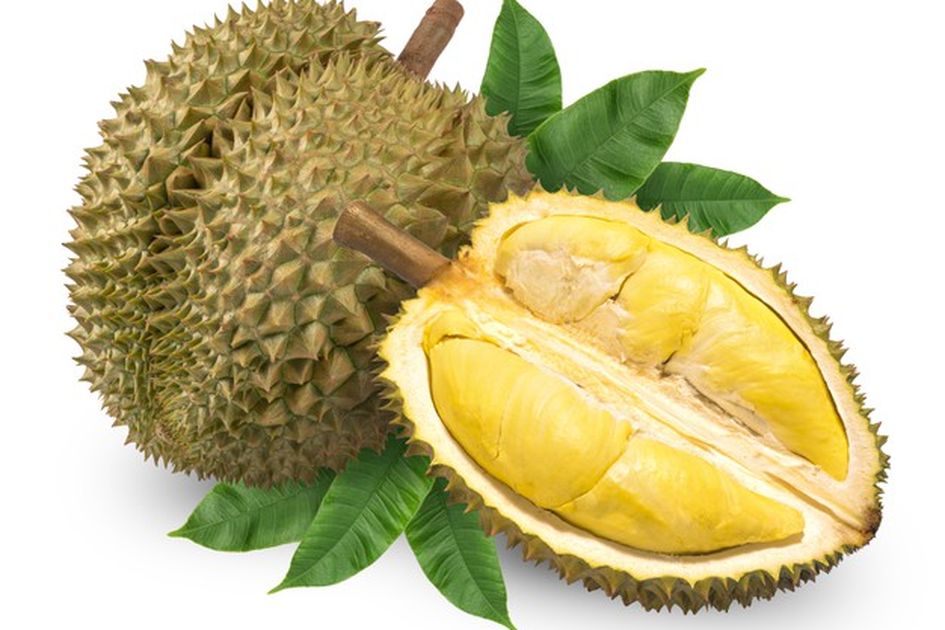 Detail Mimpi Buah Durian Nomer 28