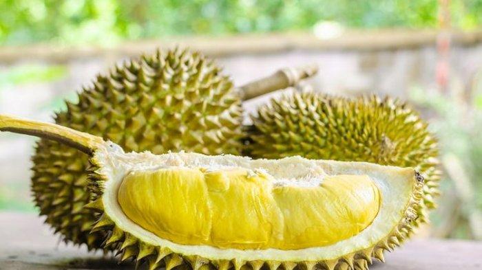 Detail Mimpi Buah Durian Nomer 5