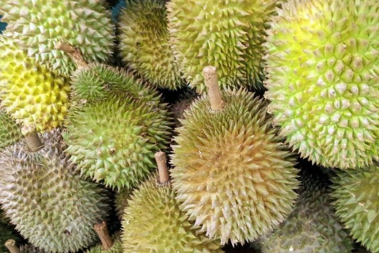 Detail Mimpi Buah Durian Nomer 47