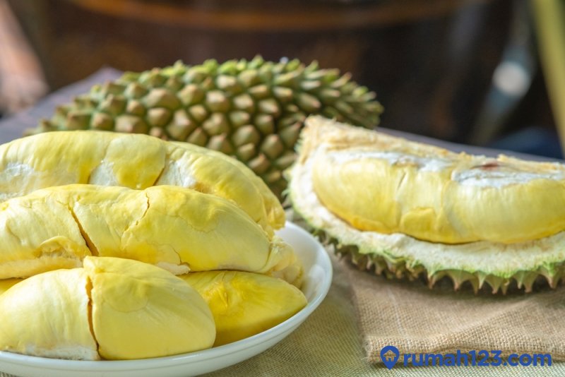 Detail Mimpi Buah Durian Nomer 55