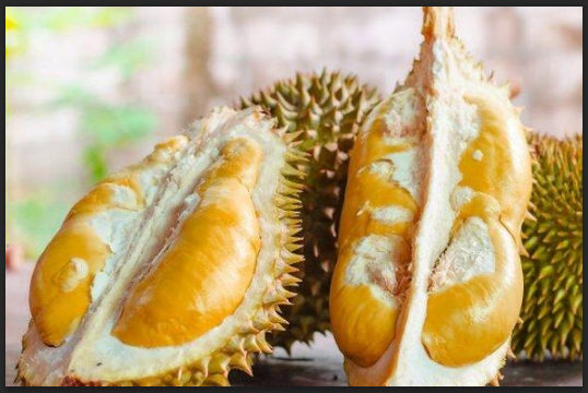 Detail Mimpi Buah Durian Nomer 7
