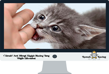 Download Mimpi Kucing Putih Nomer 36