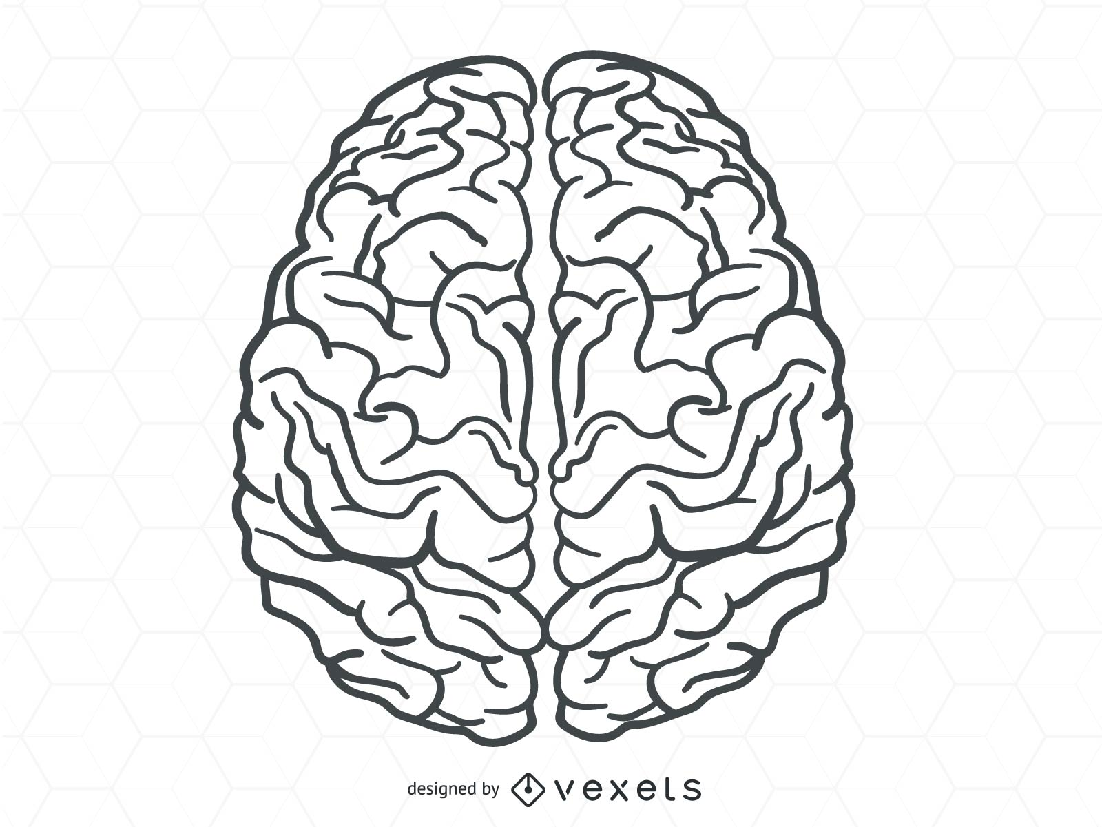 Detail Mind Vector Png Nomer 25