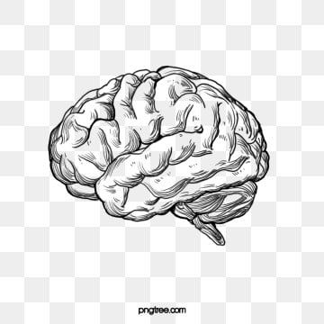 Detail Mind Vector Png Nomer 29