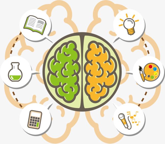Detail Mind Vector Png Nomer 33