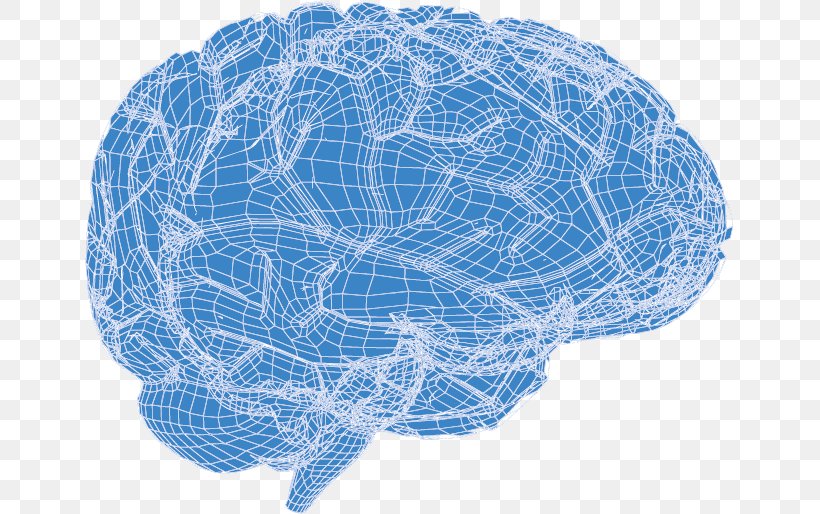 Detail Mind Vector Png Nomer 45