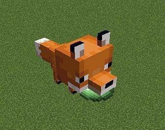 Detail Minecraft Arctic Fox Nomer 37