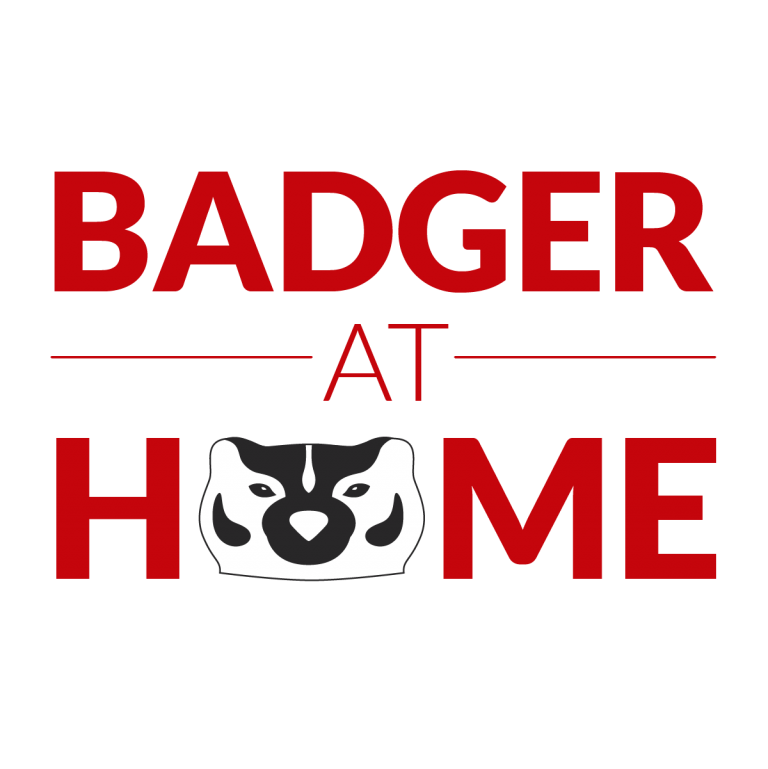 Detail Minecraft Badger Nomer 42