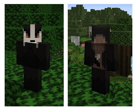 Detail Minecraft Badger Skin Nomer 36