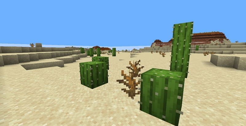 Detail Minecraft Cactus Trash Can Nomer 33