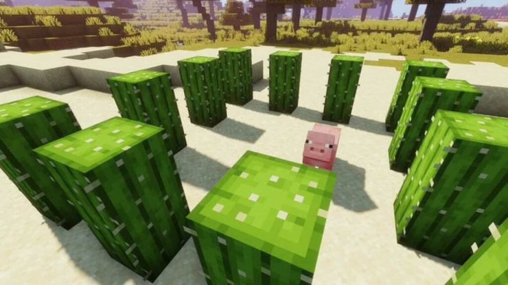 Detail Minecraft Cactus Trash Can Nomer 38