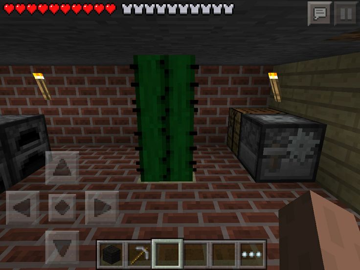 Detail Minecraft Cactus Trash Can Nomer 45