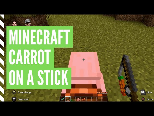 Detail Minecraft Carrot On Stick Nomer 26