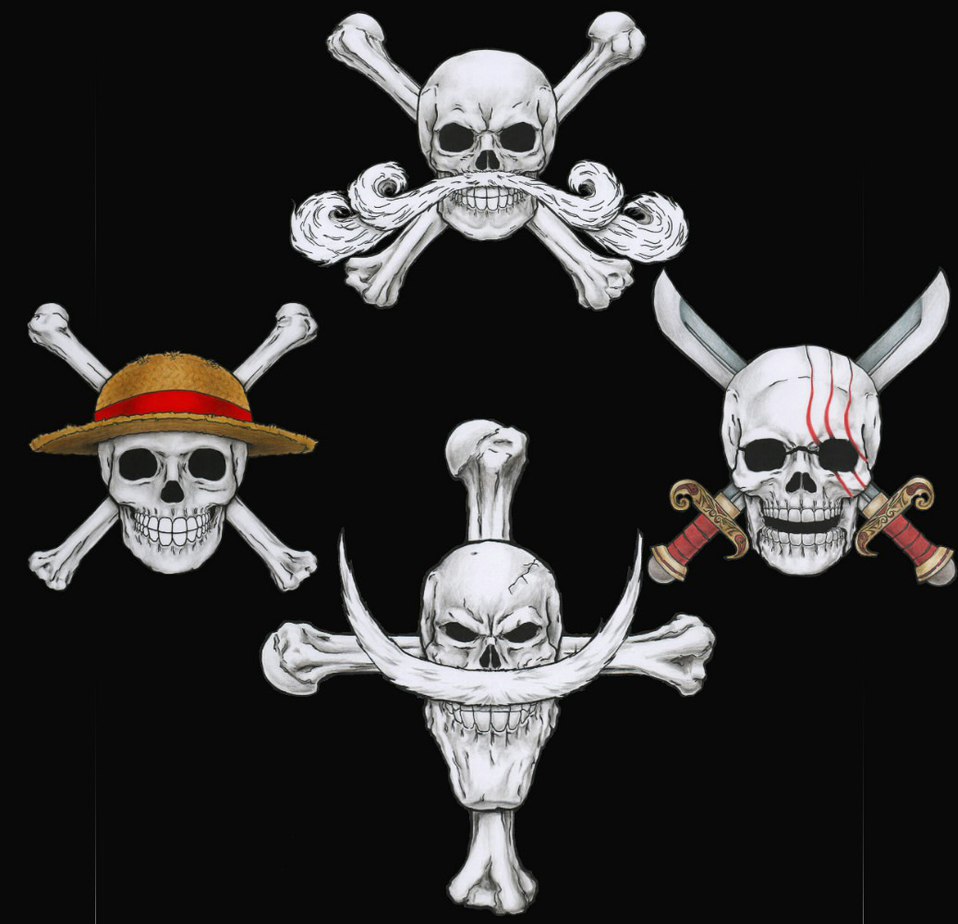 Detail Lambang Bendera One Piece Nomer 15