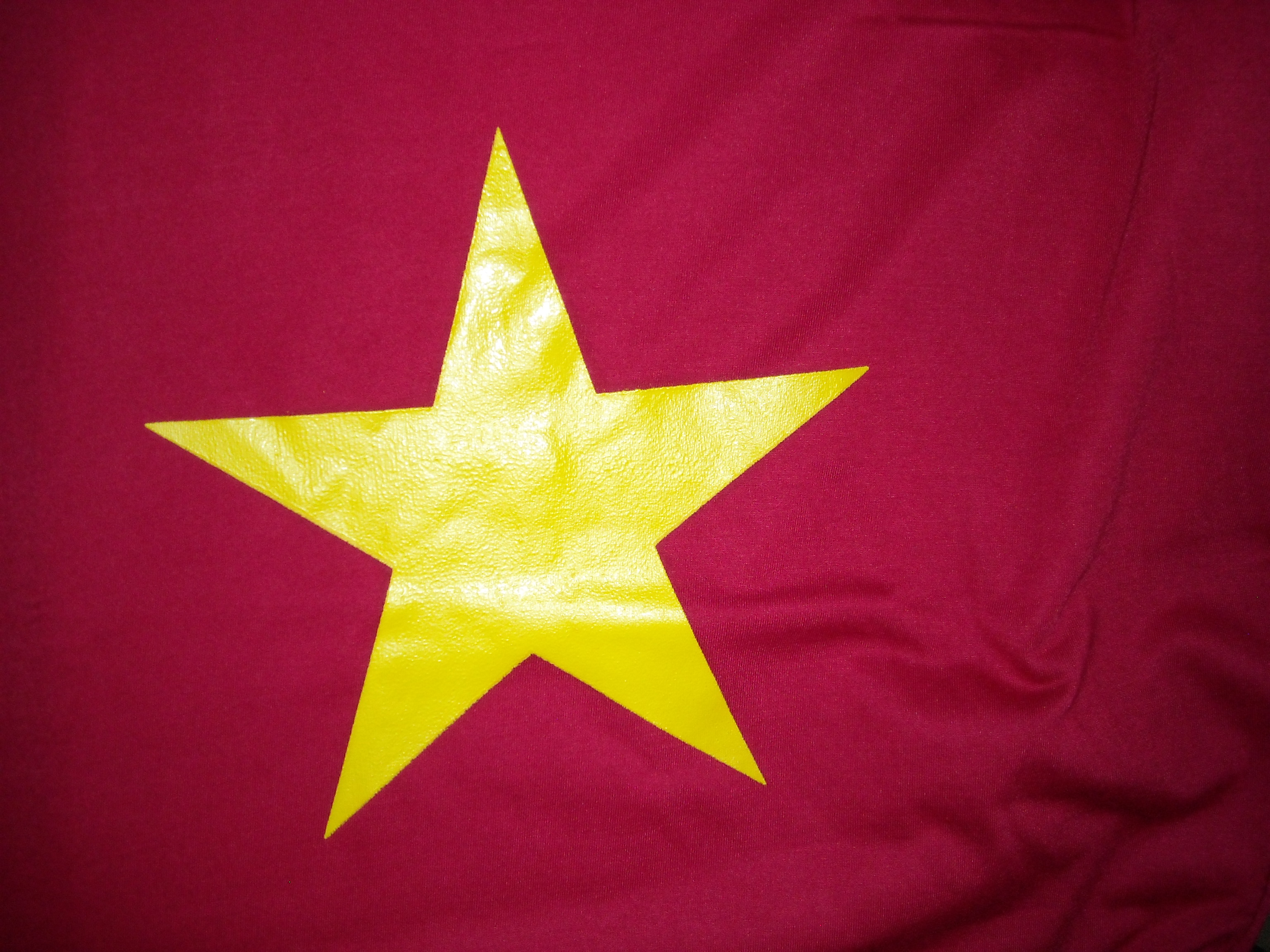 Detail Lambang Bendera Vietnam Nomer 21
