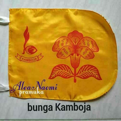 Detail Lambang Dan Bendera Kamboja Nomer 51