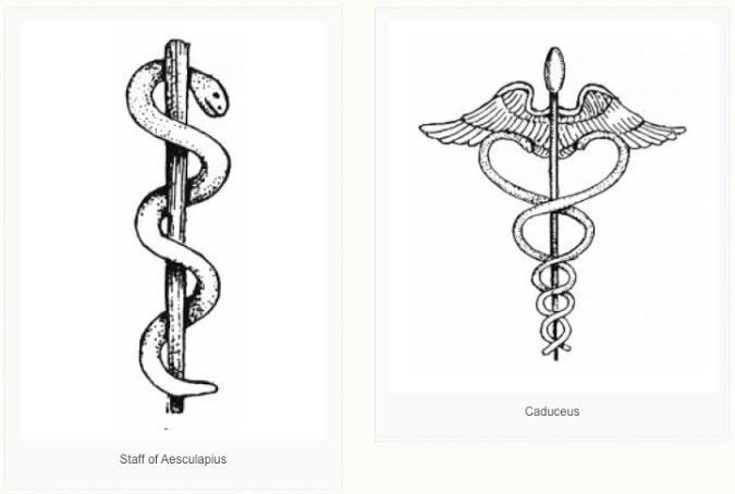 Detail Lambang Kedokteran Ular Nomer 30