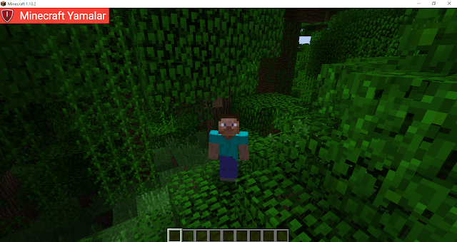 Detail Minecraft Indir Nomer 29