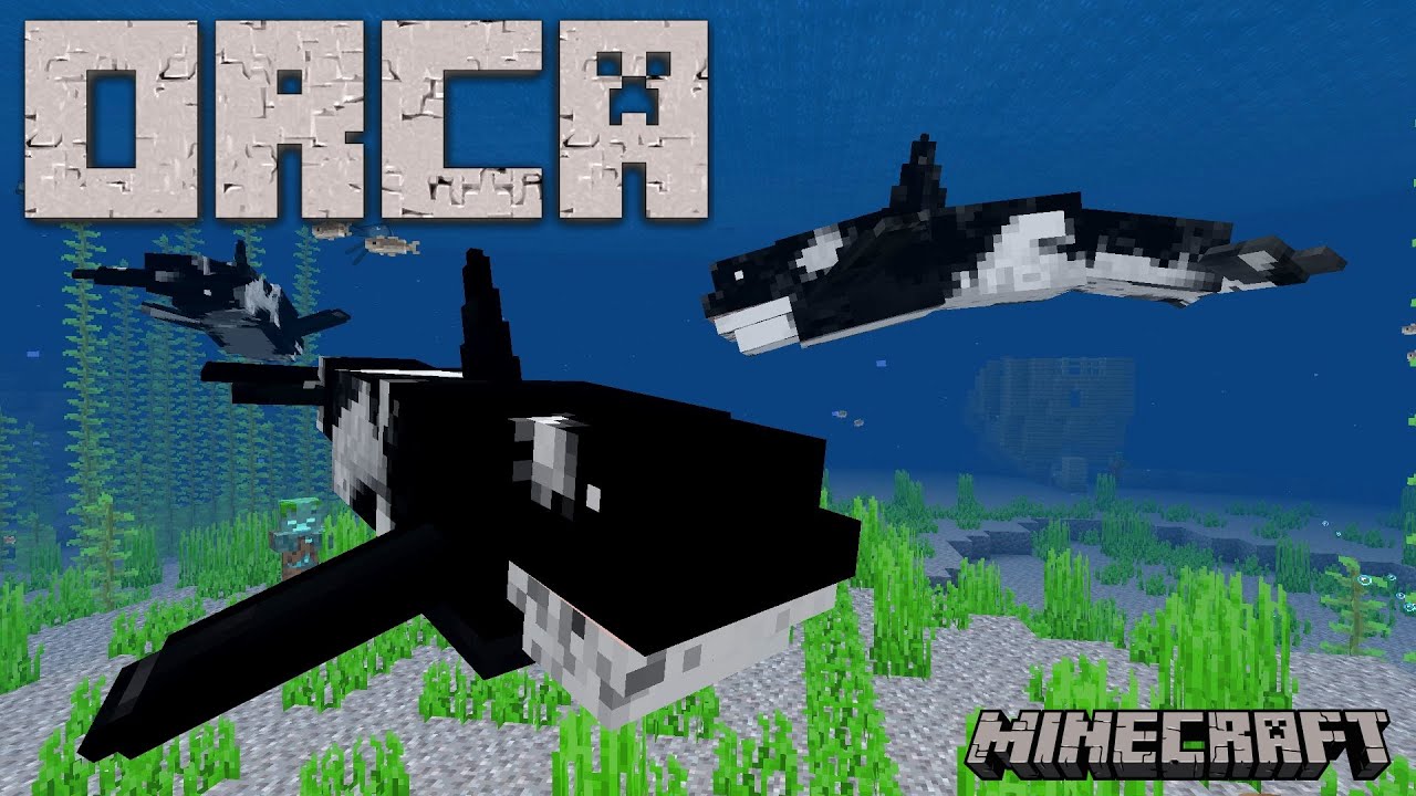 Minecraft Killer Whale - KibrisPDR