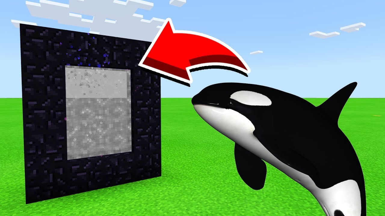 Detail Minecraft Killer Whale Nomer 13