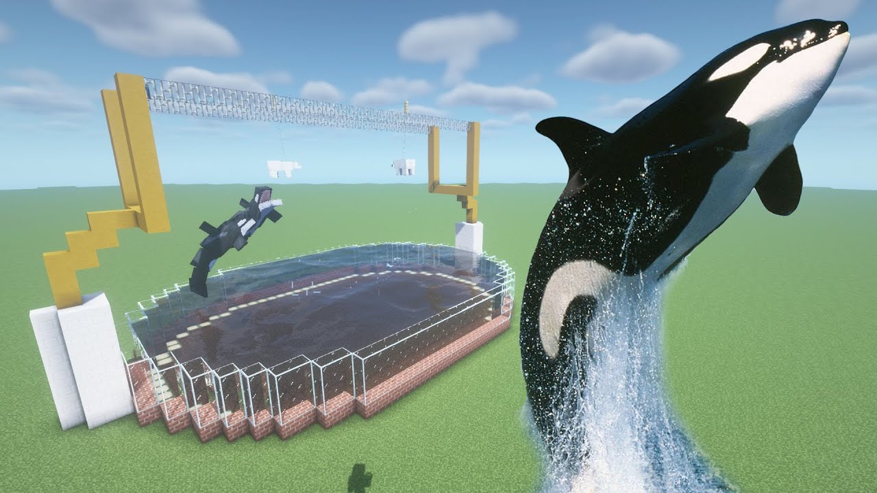 Detail Minecraft Killer Whale Nomer 22