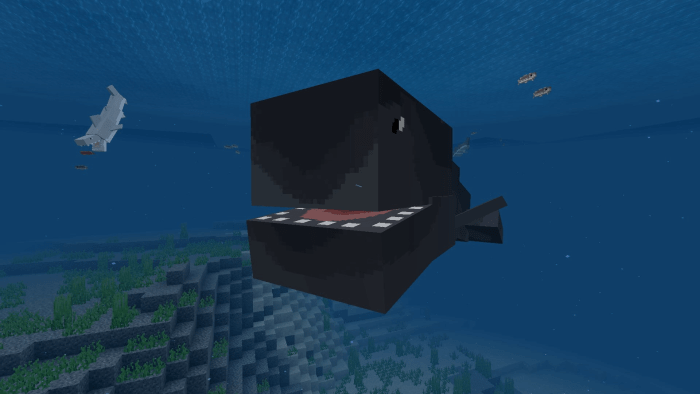 Detail Minecraft Killer Whale Nomer 23