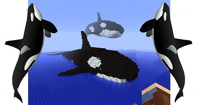 Detail Minecraft Killer Whale Nomer 38