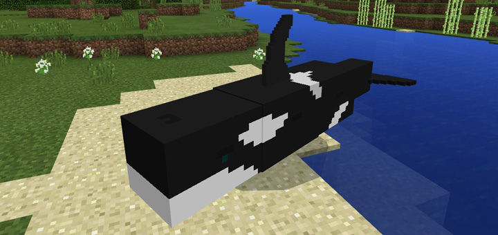 Detail Minecraft Killer Whale Nomer 5