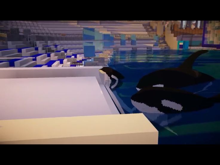 Detail Minecraft Killer Whale Nomer 43