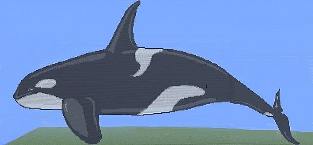 Detail Minecraft Killer Whale Nomer 49