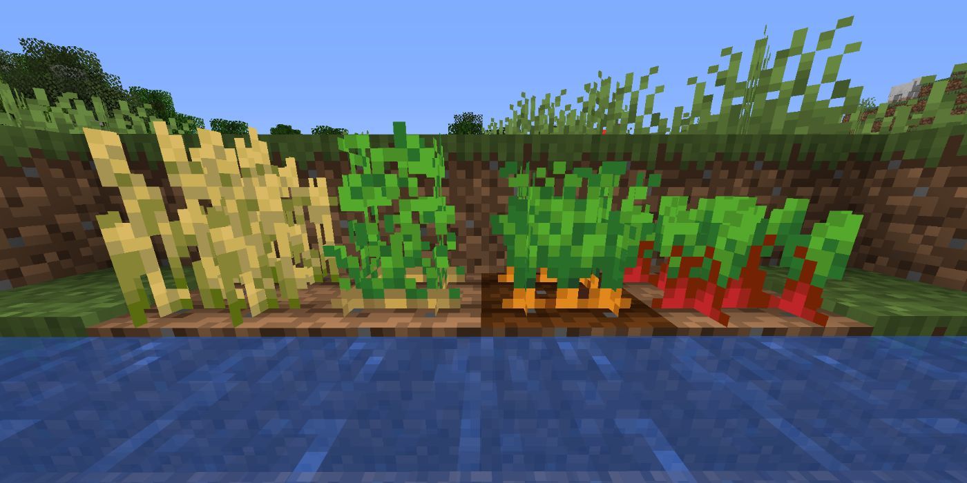 Detail Minecraft Original Carrot Sprite Nomer 41