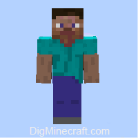 Detail Minecraft Player Pictures Nomer 4