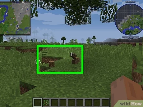 Detail Minecraft Player Pictures Nomer 43