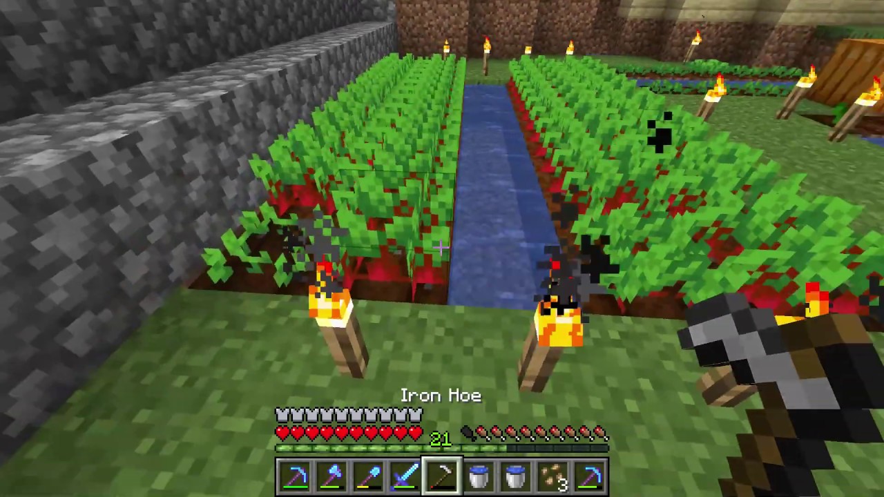 Detail Minecraft Radish Nomer 21