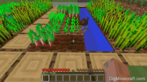 Detail Minecraft Radish Nomer 23