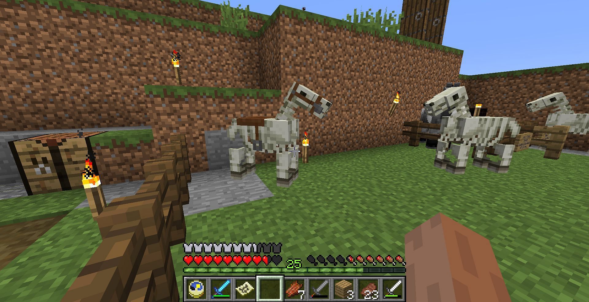 Detail Minecraft Skeleton Horse Trap Nomer 48