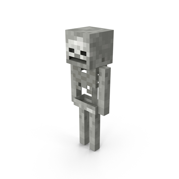 Detail Minecraft Skeleton Png Nomer 4