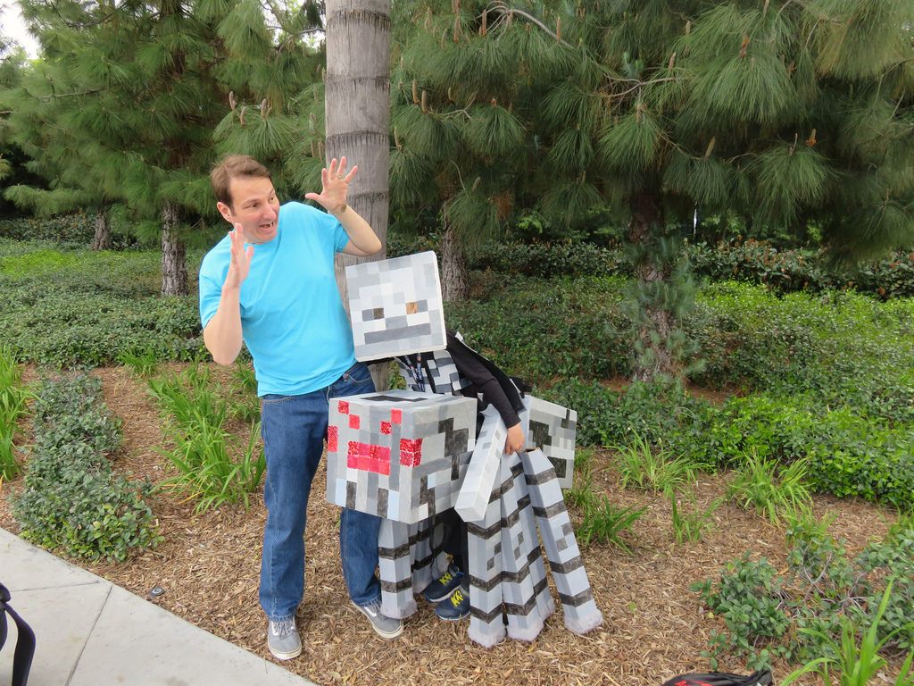 Detail Minecraft Skeleton Riding A Spider Nomer 20