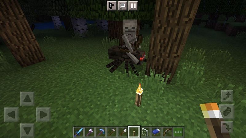 Detail Minecraft Skeleton Riding A Spider Nomer 43