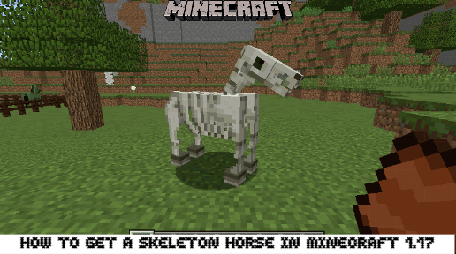Detail Minecraft Skeleton Trap Horse Nomer 30